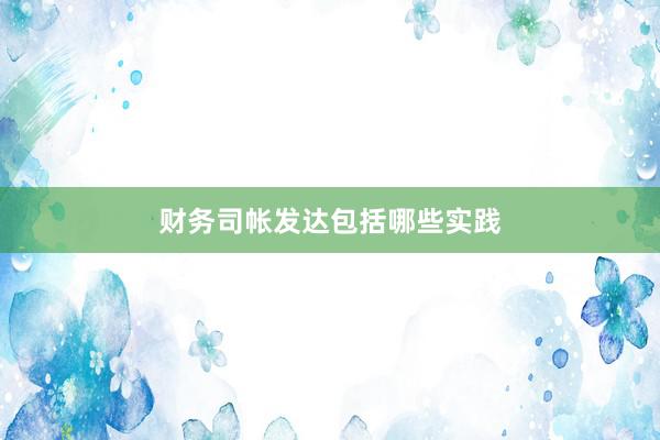 财务司帐发达包括哪些实践