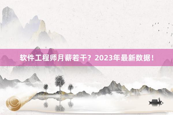 软件工程师月薪若干？2023年最新数据！