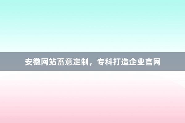 安徽网站蓄意定制，专科打造企业官网