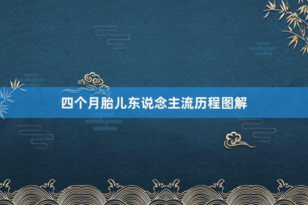 四个月胎儿东说念主流历程图解